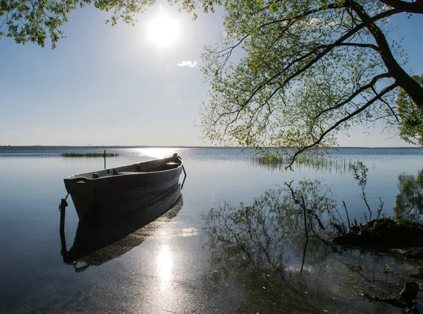 Båten Solen Sjön Sommar Solnedgång Gul Solljus Sunset Sommarsemester Brett — Stockfoto