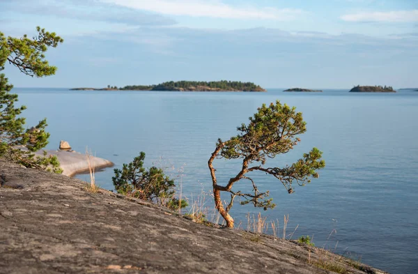 Kareliya Island White Sea Lake Ladoga panorama uitzicht avond zon — Stockfoto