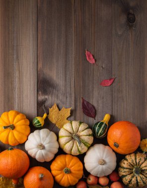 Biraz dekoratif renkli balkabağı ve ahşap kahverengi arka planda yaprak. Üst görünüm ve kopyalama alanı