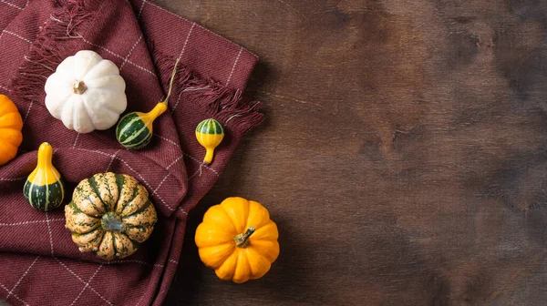 Some Colorful Decorative Pumpkins Plaid Dark Wooden Background Top View — Stock Photo, Image