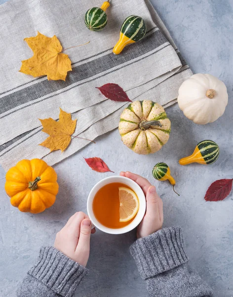 Autumn stillife. cup of tea in hand and some decorative pumpkins and leaves on blue background. top view and flat lay
