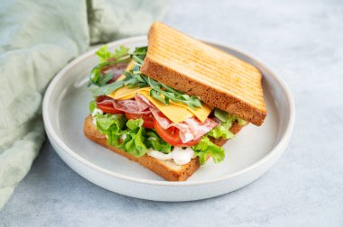 Pastırmalı, peynirli, domatesli, marullu, roka soslu, hafif arkaplanlı ve peçeteli bir tost ekmeği. Sağlıklı ve besleyici kahvaltı konsepti. Boşluğu kopyala.