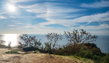 Yazın güneşli bir günde, kuru çalılar ve mavi gökyüzü ile kıyı uçurumunun manzarası. Huzurlu doğa ve deniz manzarası konsepti. Batumi, Georgia.