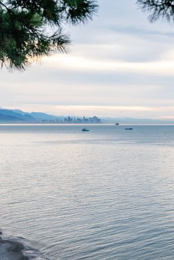 Sakin denizi olan panoramik bir kasaba manzarası, arka planda çam dallarıyla çevrili dağlarla birlikte yumuşak günbatımı ışığı. Batumi, Georgia.