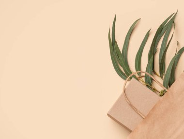 Kahverengi kağıt torba ve okaliptüs yapraklı kutu bej arka planda, eko-bilinçli ambalaj ve sürdürülebilir yaşam tarzı kavramlarını destekliyor. Üst görünüm, alanı kopyala.