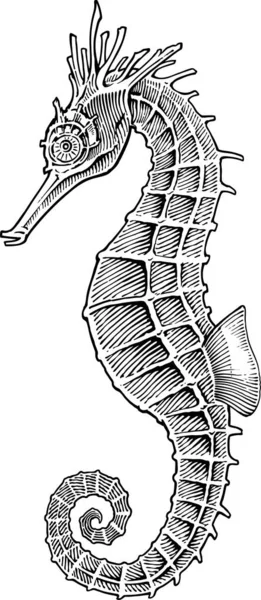 Черно Белое Векторное Изображение Стиля Гравировки Морских Коньков — стоковый вектор