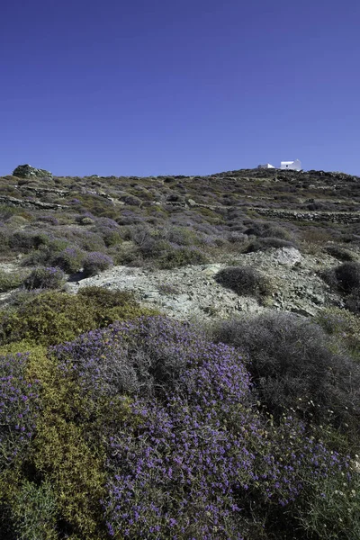 Grécia Natureza Cíclades Ilhas — Fotografia de Stock