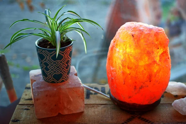 Rostlin Saltlamp Dřevěné Krabici Infront Makro Detailní Okno — Stock fotografie