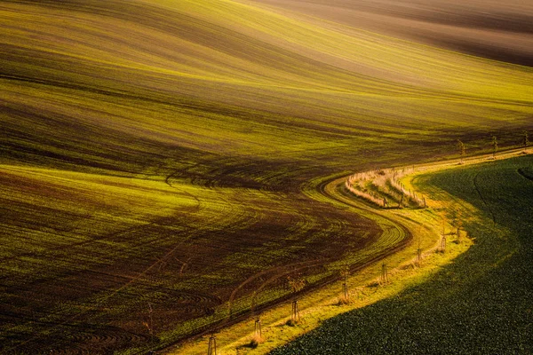 Lone path between fields in Moravian Tuscany — Stock Photo, Image