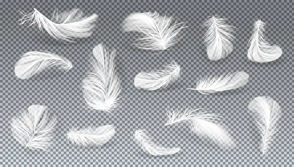 Vector 3d realistic set of white feathers — Stock Vector