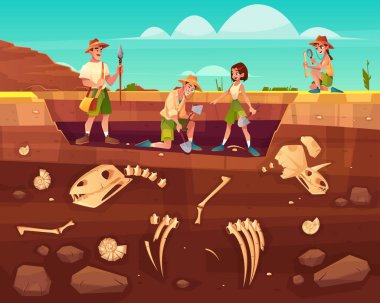 Scientists exploring fossils on excavations vector clipart