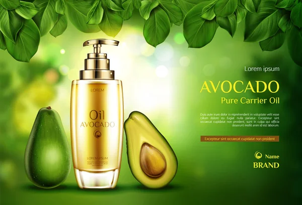 Косметическое масло авокадо. Органическая бутылка экологического продукта — стоковый вектор