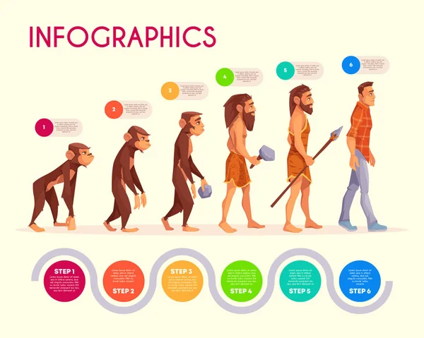 Human evolution infographics time line transform — Stock Vector