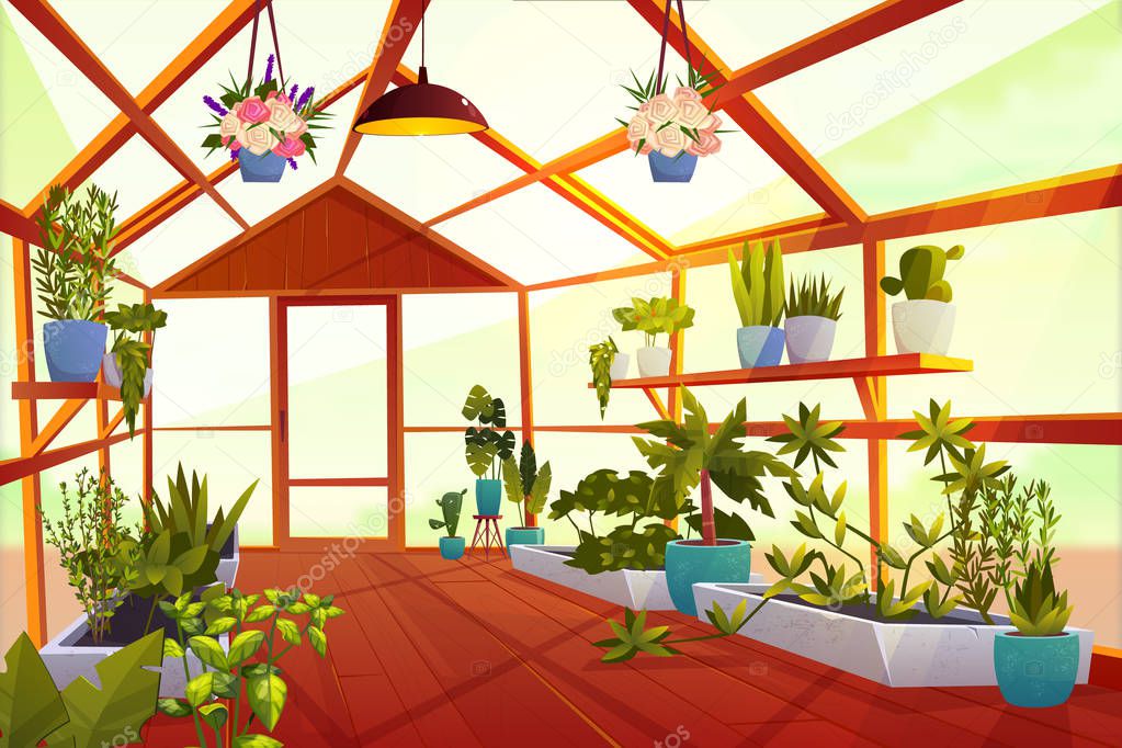 Greenhouse interior with garden inside, orangery