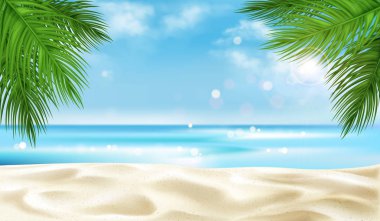 Palmiye ağacı ile deniz Plajı arka plan yaprakları, yaz