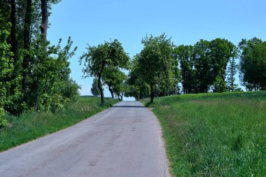 Yolunu bul. Ağaçlarla çevrili açık gri asfalt yol, taze yeşil çimenler ve mavi gökyüzü. Almanya, Bavyera 'da boş bir cadde ile bahar manzarası. İlkbaharın ortasında güzel Avrupa doğası.