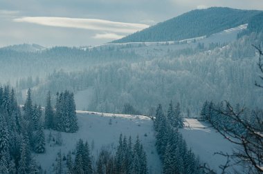 Nefes kesen kış dağ manzarası puslu uzak zemin ormanlarda kar ile kaplı. Güzel ve huzurlu kış sahne Avrupa resort konum. Bulutlar ile güneşli gün