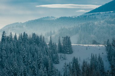 Nefes kesen kış dağ manzarası puslu uzak zemin ormanlarda kar ile kaplı. Güzel ve huzurlu kış sahne Avrupa resort konum. Güneşli gün bulutlu. Kopya alanı