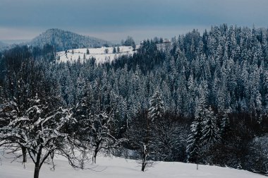 Nefes kesen kış dağ manzarası puslu uzak zemin ormanlarda kar ile kaplı. Güzel ve huzurlu kış sahne Avrupa resort konum. Bulutlu gündüz veya akşam