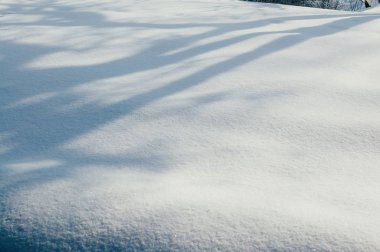 Güzel mavi uzun gölgeler ile doku kar, odak sığ. Derin kar alan, güneşli bir gün. Yapıştırma metin ve tasarım için kopyalayın. Yaban hayatı macera saflık kavramı