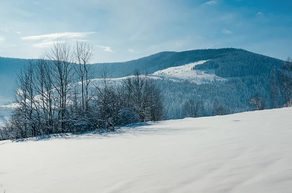 Impresionante Paisaje Montaña Invierno Con Campo Nieve Bosques Telón Fondo — Foto de Stock