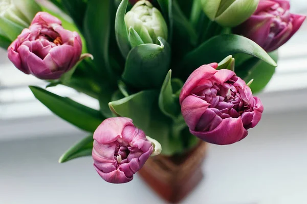 Close up and selective soft focus bouquet of beautiful pink and green tulip flowers in vase. Top view, blurred abstract background. Spring, holiday, date, event concept, for card