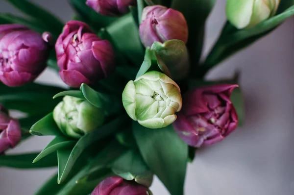 Nahaufnahme Und Selektive Weiche Konzentration Auf Grüne Blume Bouquet Von Stockbild