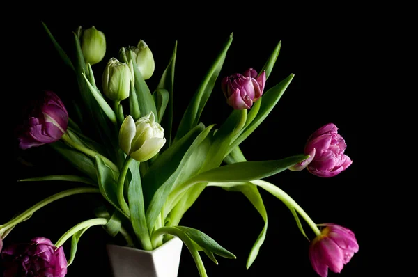 Vackra tulpaner blommor i vas konst låg nyckel makro — Stockfoto