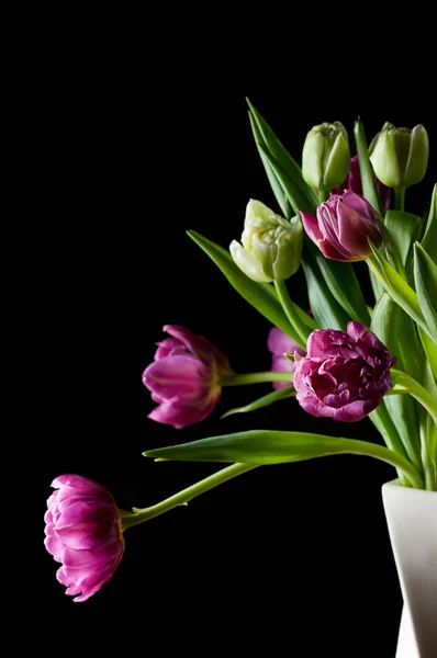 Vackra blommor art låg nyckel selektivt fokus — Stockfoto