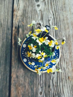 bahçede çiçek kompozisyonu