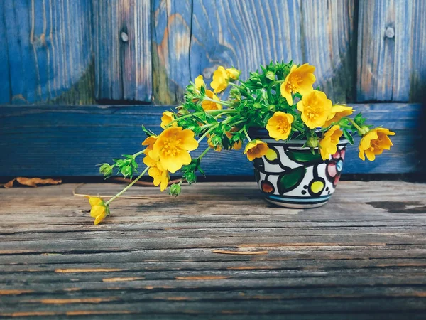 Полевые желтые цветы в красочной вазе — стоковое фото