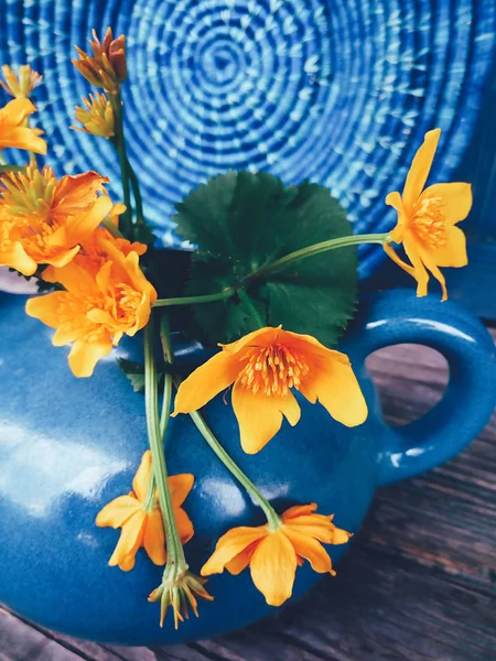 Желтые дикие цветы в голубом глиняном горшке — стоковое фото