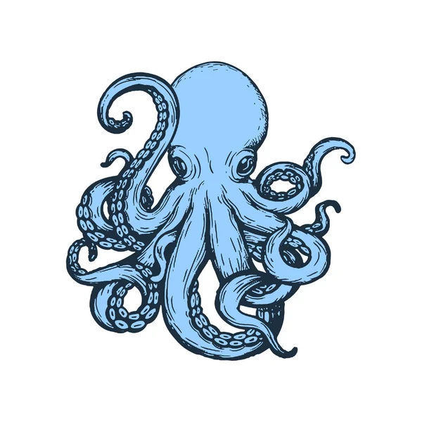 Octo El Çizim Biçimi