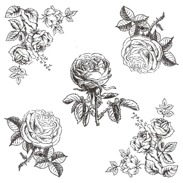 vektör dizayn şablonu