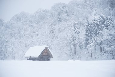 Kışın yoğun kar yağışı ile Shirakawago 
