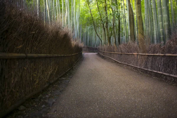 Arashiyama Bambusowy Las Kioto Japonia — Zdjęcie stockowe