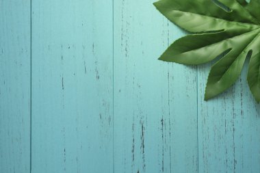 Eski püskü tahta arka plan ile doğa yeşil yaprak