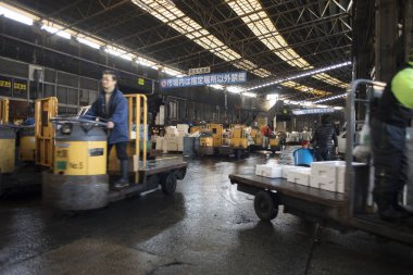 Tokyo, Japonya - 17 Şubat 2017: Tsukiji Balık pazarı. Belgili tanımlık çarşı dünyanın en büyük balık pazarı biridir.