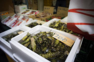 Taze Wasabi kök dizininde sokak çarşı içinde Japonya