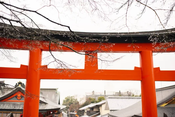 Kırmızı Torii Fushimi Inari Tapınak Kapısında Kyoto Japonya — Stok fotoğraf