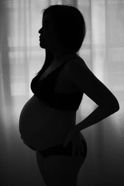 Silueta Mujer Embarazada Sombra —  Fotos de Stock
