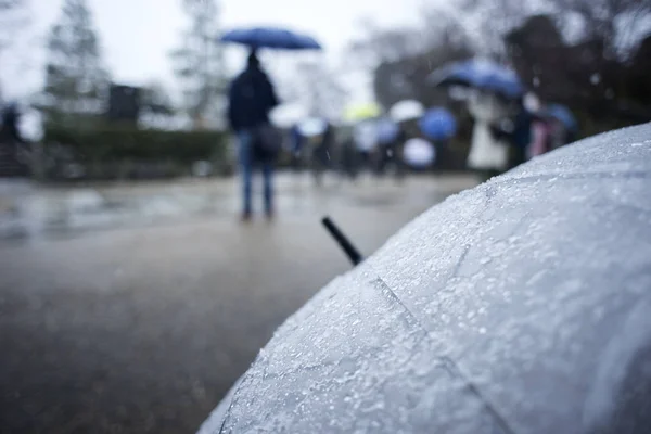 Snow flake ice on umbrella in winter season.