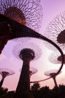 Supertree Grove Bahçe'de Bay tarafından.
