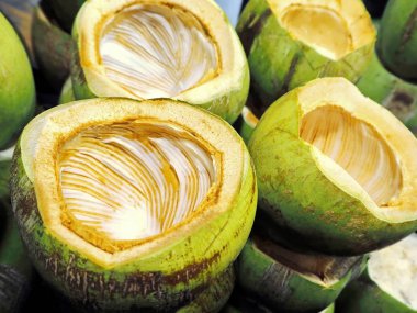 Taze Hindistan cevizi kabuk kaplar