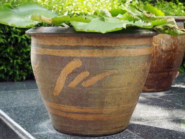 Vintage toprak kap izole Şehir Parkı