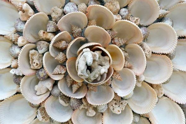 Close Foto Van Vintage Handgemaakte Sea Shell Bloem — Stockfoto