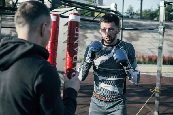 Tranquilo Joven Deportista Confiado Realizando Postura Boxeo Mientras Está Terreno —  Fotos de Stock