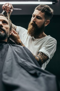 Sakin sakallı adam kuaför elbisesi oturan ve saç modeli yaparken tarak kullanarak deneyimli yaratıcı berber bakarken