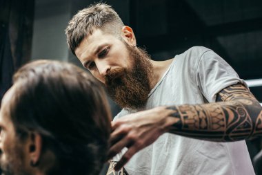 Close view of concentrated barber looking at the hair of his client while cutting it