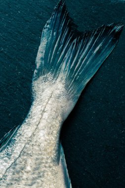 Siyah kayrak arka plan üzerinde yatan temiz parlak kuyruğu ile pişmemiş balık üst görünümü